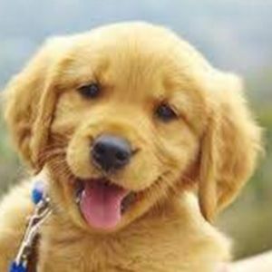 Meet your Posher, Mayra alejandr